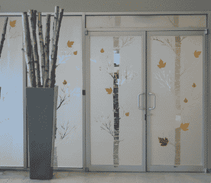 Custom Privacy Window Film